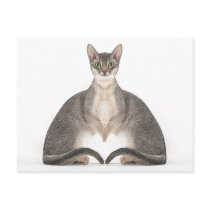 Cat like Prayer postcards
