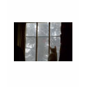 Cat Looking At Cardinal Out Window t-shirts