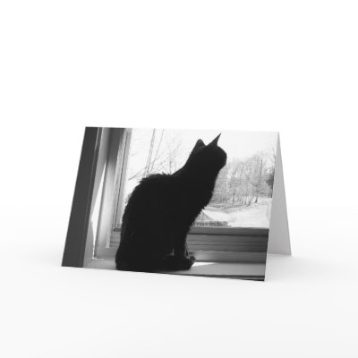 Cat Looking Out Greeting Card