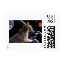Cat lost in space. postage