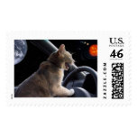 Cat lost in space. postage stamps