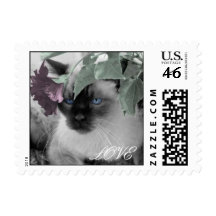 Cat Love Stamps