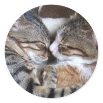 Cat Love Stickers