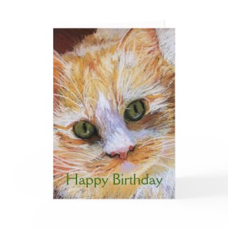 Cat Lover Gift Orange Cat Face Portrait Fine Art Cards