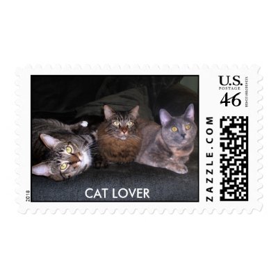 CAT LOVER by amy12davis