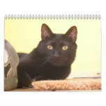 Cat Lover's Calendar