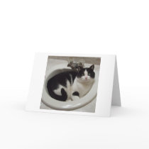 Cat lovers delight greeting card