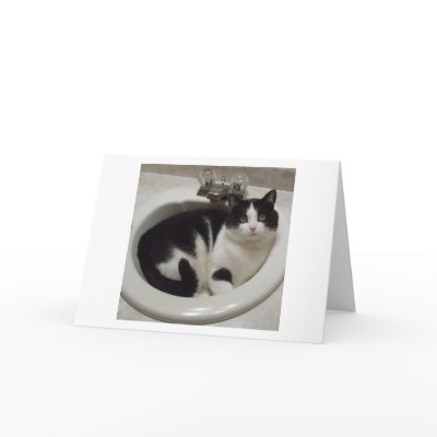 Cat lovers delight greeting card