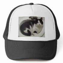 Cat lovers delight trucker hat