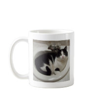 Cat lovers delight coffee mugs