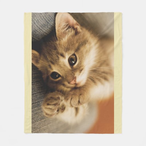 Cat Lovers Fleece Blanket Zazzle