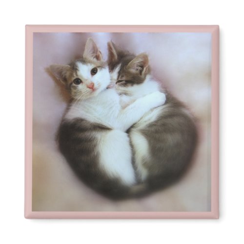 Cat Lovers Magnet magnet