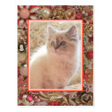 Cat Lover's Vintage Jewelry Photo Design Postcard