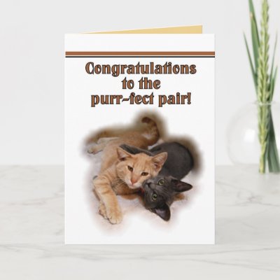 Cat Lovers Wedding Congratulations  Card