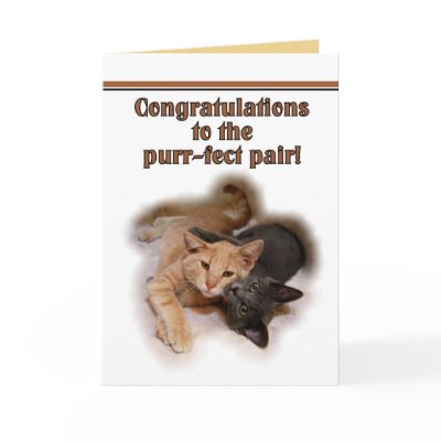 Cat Lovers Wedding Congratulations  Card