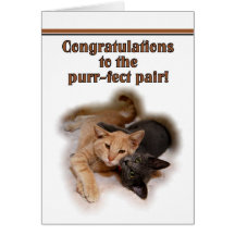 Cat Lovers Wedding Congratulations  Card