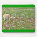 Cat Loves the Falling Leaves mousepads