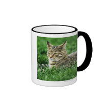 Cat lying in grass coffee mugs