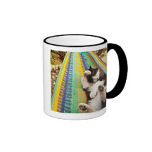 Cat lying in Mayan Mexican hammock Mug