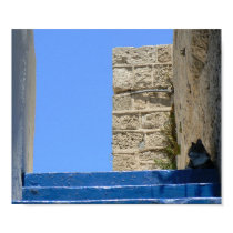 Cat lying on stairs in Old Jaffa posters