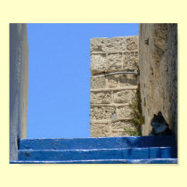 Cat lying on stairs in Old Jaffa posters