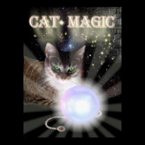 Cat Magic posters