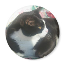 Cat Magmet magnets by squirrel27 Cat Magmet magnets