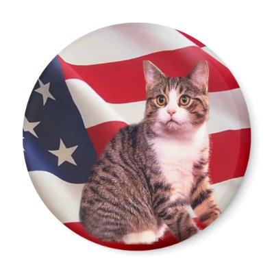 Cat Magnet All American