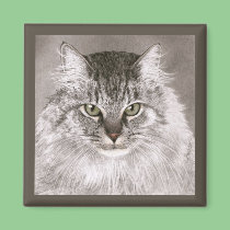 Cat Magnet - "Merlin" magnets