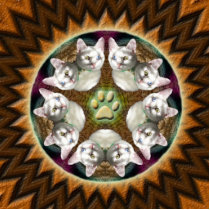 Cat Mandala magnet photo sculpture photo sculptures