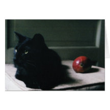 Cat & Mango card