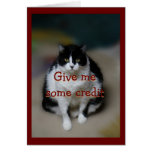 Cat, Max fv- customize for any occasion Card