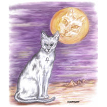 Cat Moon t-shirts by artbyjehf Cat Moon t-shirts