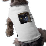 dog shirts, black cat dog shirt