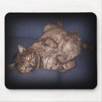cat mouse pad mousepads
