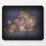 cat mouse pad