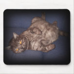 cat mouse pad mousepads