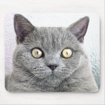 cat mousepads by REDINARD cat mousepads