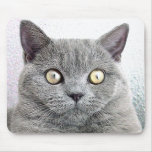cat mouse mats