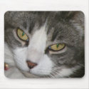 cat mousepad by thethreeamigos08 cat mousepad