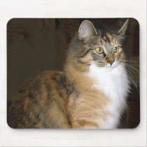 cat mousepads
