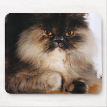 Cat mousepads