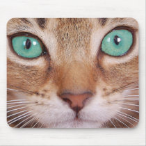 Cat mousepads by REDINARD Cat mousepads
