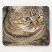 Cat mousepads by DonnaGrayson Cat mousepads