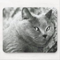CAT mousepads