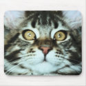 CAT mousepads