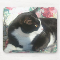 Cat Mousepad by squirrel27 Cat Mousepad