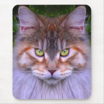 CAT mousepads