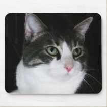 Cat & Mousepad by Priscilla48 Cat & Mousepad