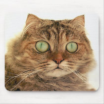 CAT MOUSE MATS